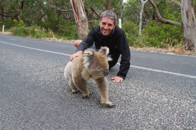 David posando con Koala