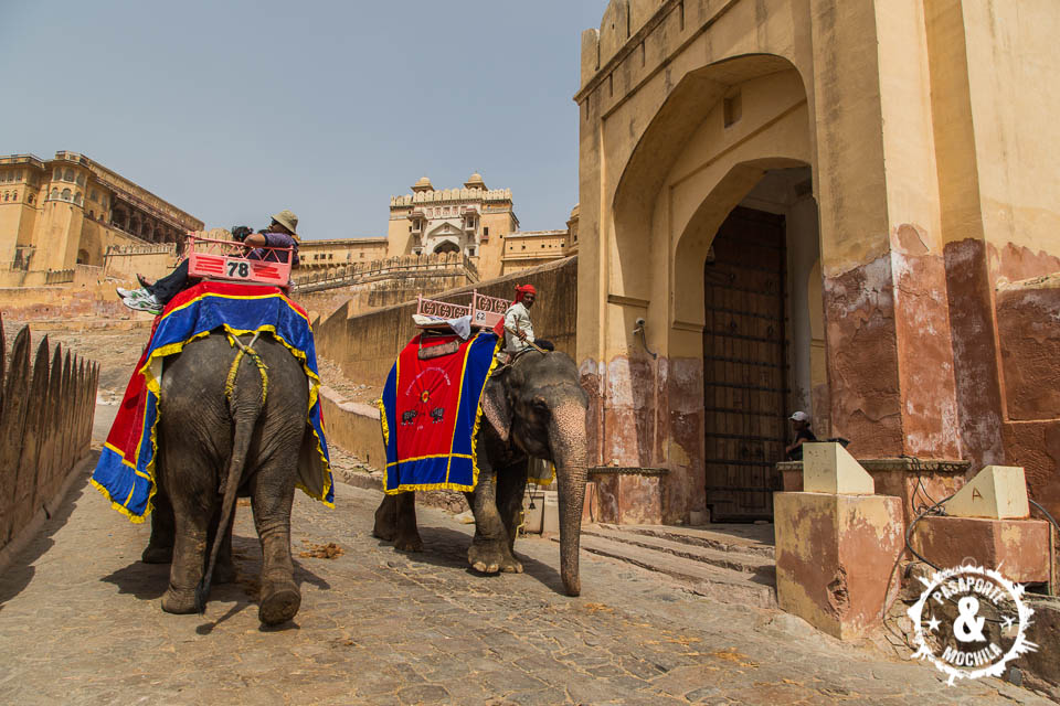 Elefantes para turistas